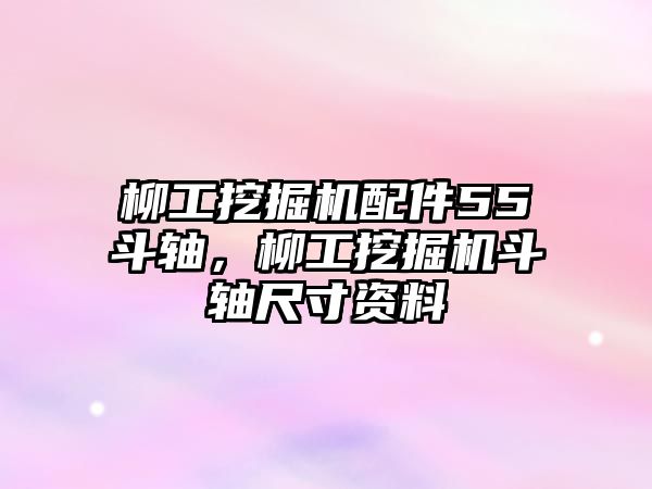 柳工挖掘機(jī)配件55斗軸，柳工挖掘機(jī)斗軸尺寸資料