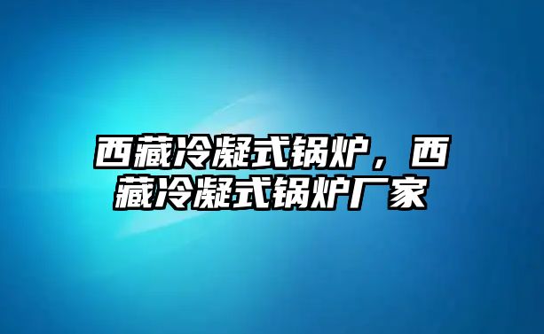 西藏冷凝式鍋爐，西藏冷凝式鍋爐廠家