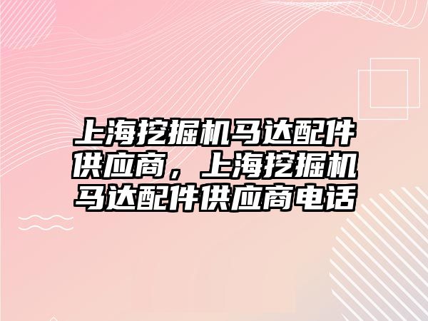 上海挖掘機馬達配件供應商，上海挖掘機馬達配件供應商電話