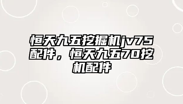 恒天九五挖掘機jv75配件，恒天九五70挖機配件