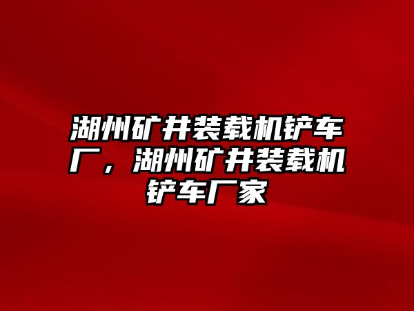 湖州礦井裝載機鏟車廠，湖州礦井裝載機鏟車廠家