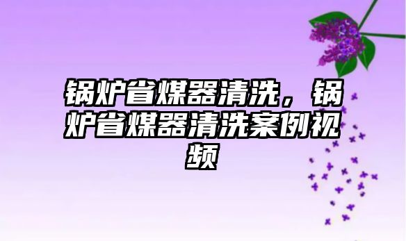 鍋爐省煤器清洗，鍋爐省煤器清洗案例視頻