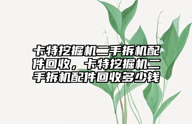 卡特挖掘機二手拆機配件回收，卡特挖掘機二手拆機配件回收多少錢