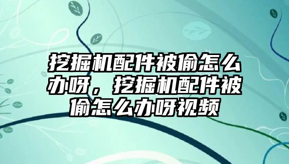 挖掘機(jī)配件被偷怎么辦呀，挖掘機(jī)配件被偷怎么辦呀視頻