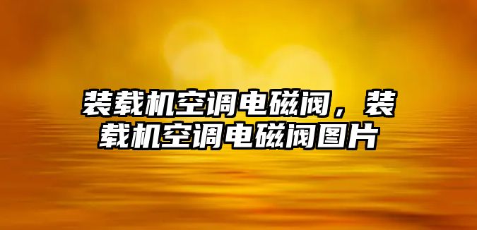 裝載機(jī)空調(diào)電磁閥，裝載機(jī)空調(diào)電磁閥圖片