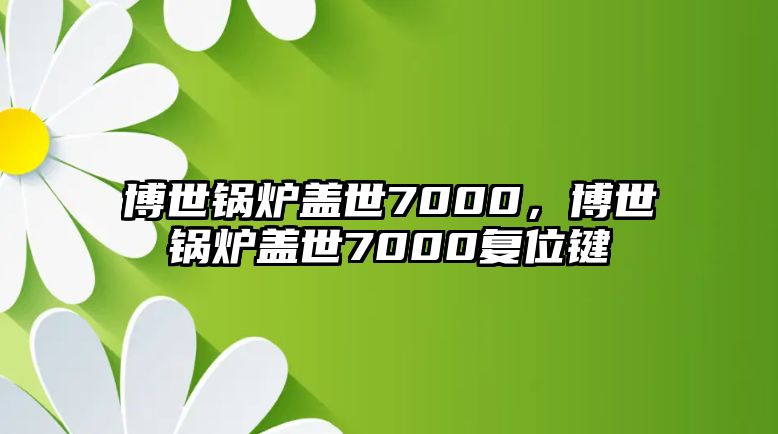 博世鍋爐蓋世7000，博世鍋爐蓋世7000復(fù)位鍵