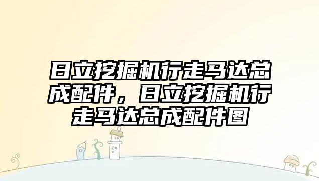 日立挖掘機行走馬達(dá)總成配件，日立挖掘機行走馬達(dá)總成配件圖