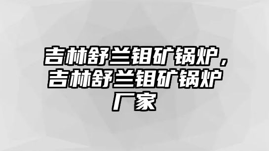 吉林舒蘭鉬礦鍋爐，吉林舒蘭鉬礦鍋爐廠家