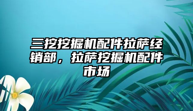 三挖挖掘機配件拉薩經銷部，拉薩挖掘機配件市場