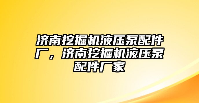 濟南挖掘機液壓泵配件廠，濟南挖掘機液壓泵配件廠家