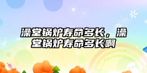 澡堂鍋爐壽命多長，澡堂鍋爐壽命多長啊