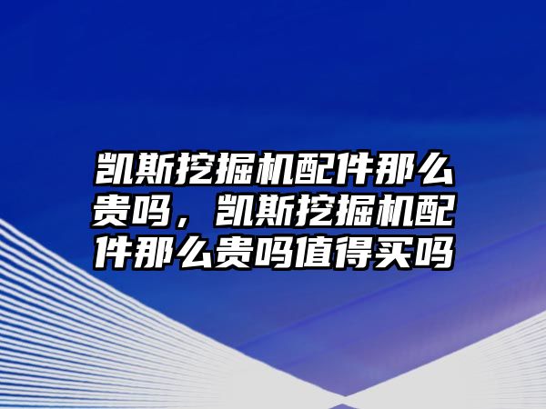 凱斯挖掘機配件那么貴嗎，凱斯挖掘機配件那么貴嗎值得買嗎