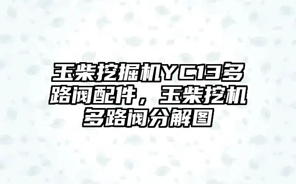 玉柴挖掘機YC13多路閥配件，玉柴挖機多路閥分解圖