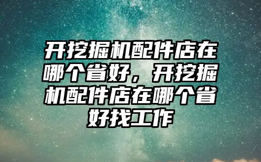 開挖掘機配件店在哪個省好，開挖掘機配件店在哪個省好找工作