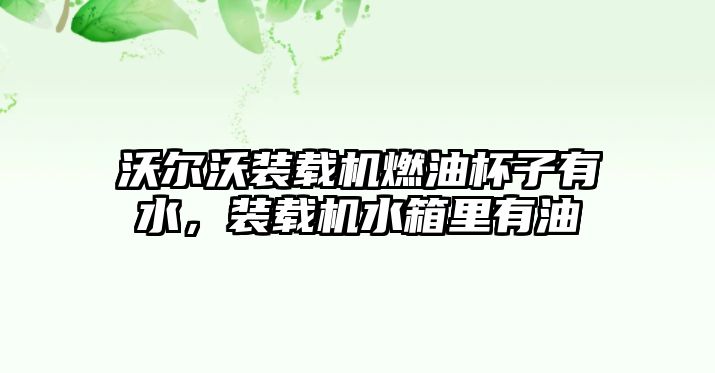 沃爾沃裝載機燃油杯子有水，裝載機水箱里有油