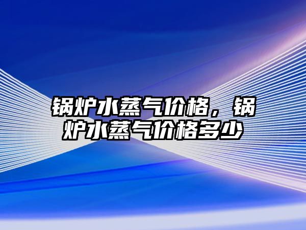 鍋爐水蒸氣價格，鍋爐水蒸氣價格多少