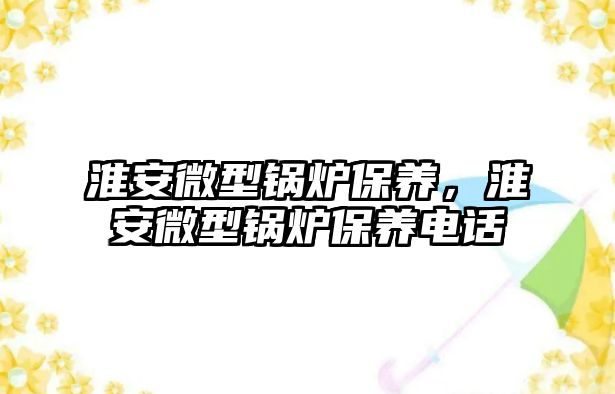 淮安微型鍋爐保養，淮安微型鍋爐保養電話