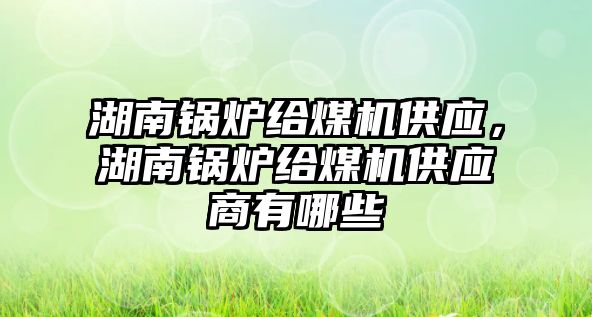 湖南鍋爐給煤機供應，湖南鍋爐給煤機供應商有哪些