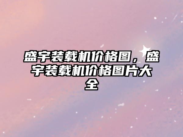 盛宇裝載機價格圖，盛宇裝載機價格圖片大全