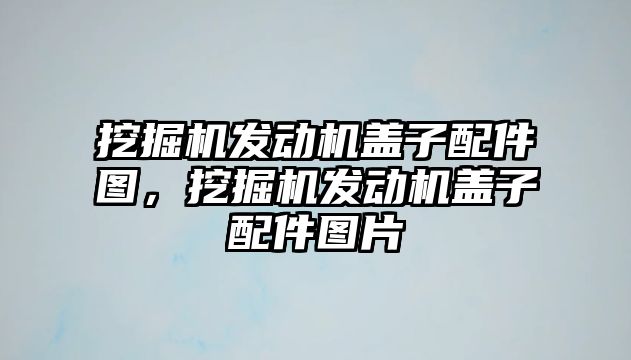 挖掘機發動機蓋子配件圖，挖掘機發動機蓋子配件圖片