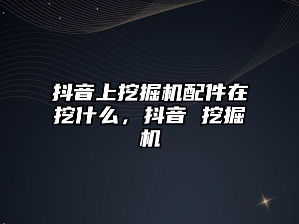 抖音上挖掘機配件在挖什么，抖音 挖掘機