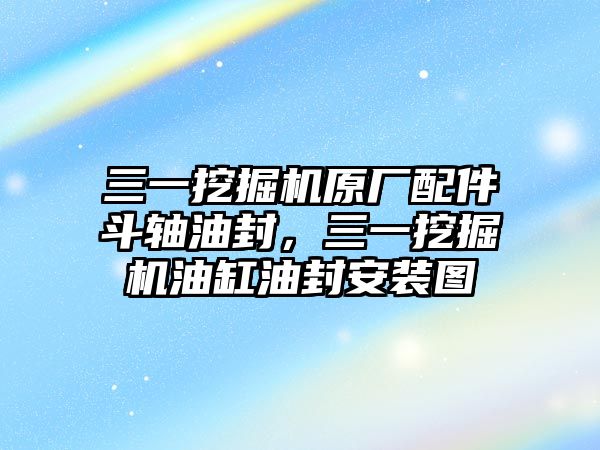 三一挖掘機原廠配件斗軸油封，三一挖掘機油缸油封安裝圖