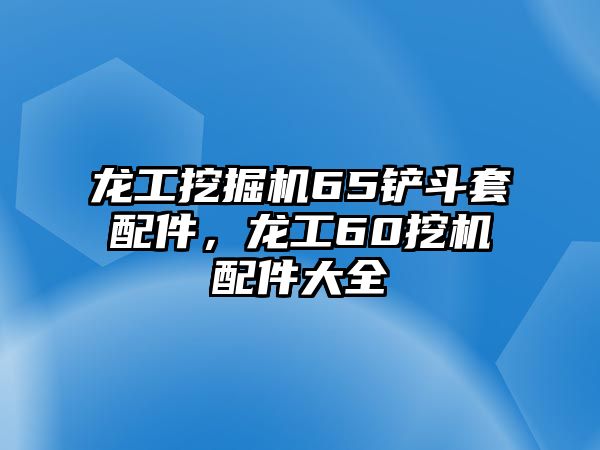 龍工挖掘機65鏟斗套配件，龍工60挖機配件大全