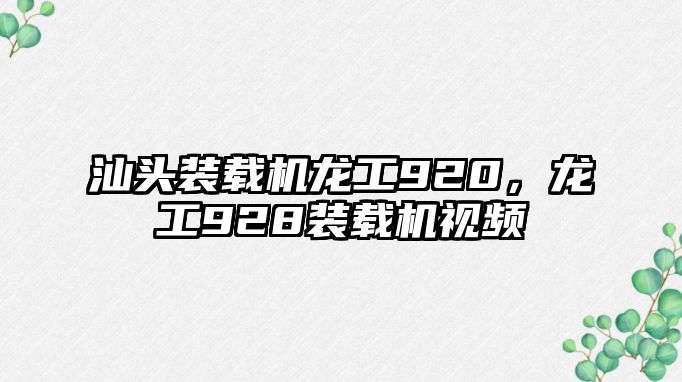 汕頭裝載機龍工920，龍工928裝載機視頻