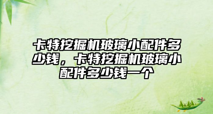 卡特挖掘機玻璃小配件多少錢，卡特挖掘機玻璃小配件多少錢一個