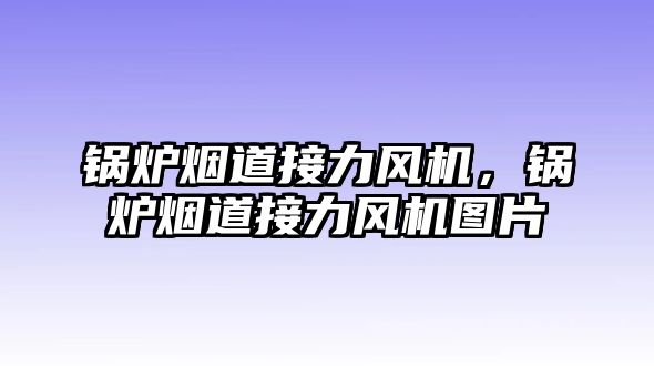 鍋爐煙道接力風(fēng)機(jī)，鍋爐煙道接力風(fēng)機(jī)圖片