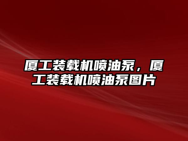 廈工裝載機噴油泵，廈工裝載機噴油泵圖片