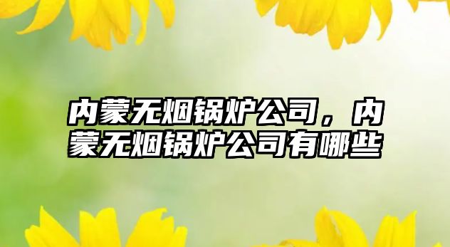 內蒙無煙鍋爐公司，內蒙無煙鍋爐公司有哪些