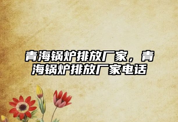 青海鍋爐排放廠家，青海鍋爐排放廠家電話