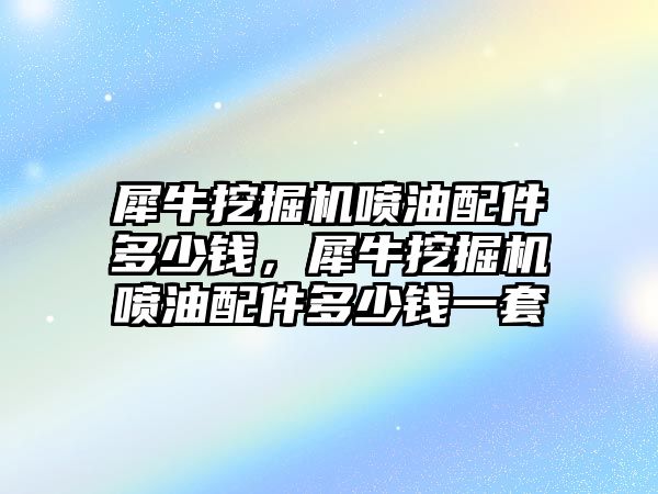 犀牛挖掘機噴油配件多少錢，犀牛挖掘機噴油配件多少錢一套