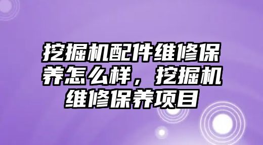 挖掘機配件維修保養怎么樣，挖掘機維修保養項目