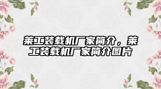 萊工裝載機廠家簡介，萊工裝載機廠家簡介圖片