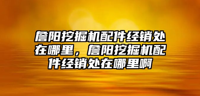 詹陽挖掘機配件經銷處在哪里，詹陽挖掘機配件經銷處在哪里啊