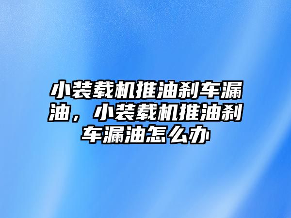 小裝載機推油剎車漏油，小裝載機推油剎車漏油怎么辦