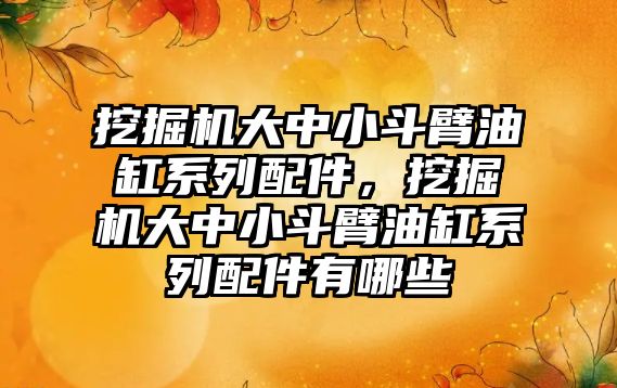 挖掘機大中小斗臂油缸系列配件，挖掘機大中小斗臂油缸系列配件有哪些