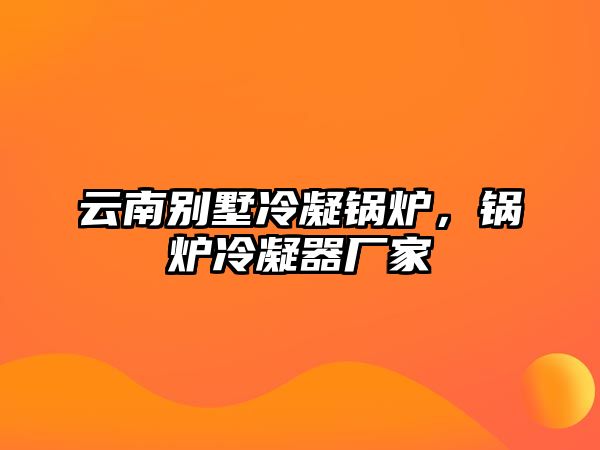 云南別墅冷凝鍋爐，鍋爐冷凝器廠家