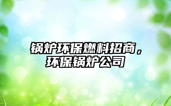 鍋爐環保燃料招商，環保鍋爐公司