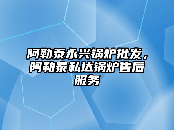 阿勒泰永興鍋爐批發，阿勒泰私達鍋爐售后服務