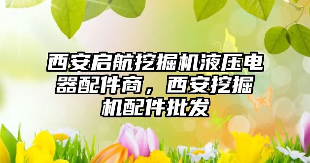 西安啟航挖掘機液壓電器配件商，西安挖掘機配件批發