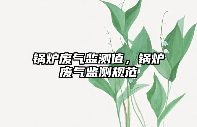 鍋爐廢氣監測值，鍋爐廢氣監測規范