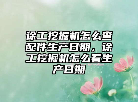 徐工挖掘機怎么查配件生產(chǎn)日期，徐工挖掘機怎么看生產(chǎn)日期