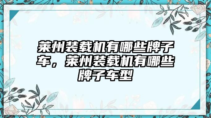 萊州裝載機有哪些牌子車，萊州裝載機有哪些牌子車型