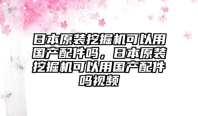 日本原裝挖掘機可以用國產配件嗎，日本原裝挖掘機可以用國產配件嗎視頻