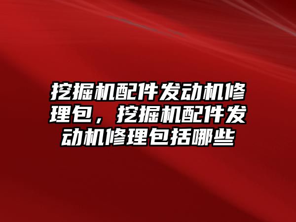 挖掘機配件發動機修理包，挖掘機配件發動機修理包括哪些