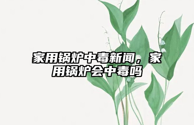 家用鍋爐中毒新聞，家用鍋爐會中毒嗎