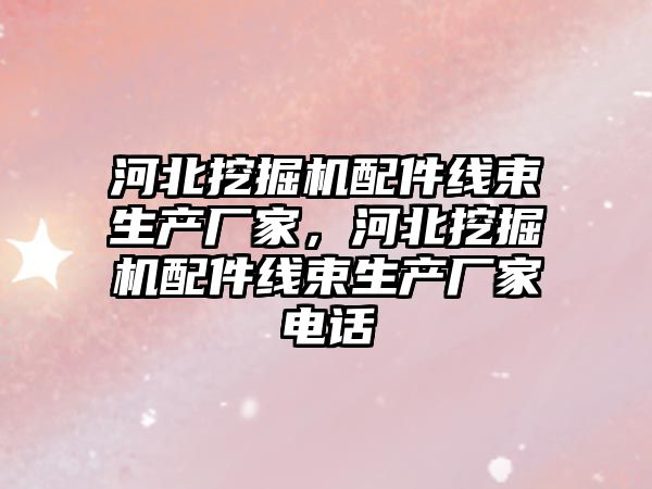 河北挖掘機配件線束生產廠家，河北挖掘機配件線束生產廠家電話